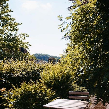 Ferienwohnung Kurpark Brilon Am Rothaarsteig Exteriér fotografie
